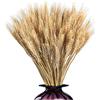 LINONI 100 Pezzi Spighe di Grano Essiccate, Spighe di Grano Decorative, Naturali Essiccato, per Matrimoni, Camino, Casa, Cucina, Chiesa, Tavolo, 40 cm, Colore Primario