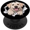 4WhiteLabradorLovers Divertente Labrador bianco che sbircia carino amante dei cani mamma papà PopSockets PopGrip Adesivo