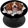 4WelshSpringerSpanielLovers Divertente gallese Springer Spaniel Sbirciando Carino Amante Del Cane Mamma Papà PopSockets PopGrip Adesivo