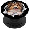 4ShetlandSheepdogLovers Divertente cane da pastore delle Shetland che sbircia carino amante dei cani mamma papà PopSockets PopGrip Adesivo