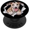 4WhippetLovers Divertente Whippet Sbirciando Carino Amante Cane Mamma Papà PopSockets PopGrip Adesivo