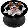 4RatTerrierLovers Divertente Rat Terrier Sbirciando Carino Dog Amante Mamma Papà PopSockets PopGrip Adesivo