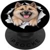 4NorwegianBuhundLovers Divertente Norvegese Buhund Sbirciando Carino Amante Del Cane Mamma Papà PopSockets PopGrip Adesivo