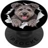 4PumiLovers Divertente Pumi Sbirciando Carino Amante Del Cane Mamma Papà PopSockets PopGrip Adesivo