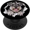 4StandardSchnauzerLovers Divertente Schnauzer standard che sbircia carino amante dei cani mamma papà PopSockets PopGrip Adesivo
