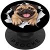 4PugLovers Divertente carlino che sbircia carino amante dei cani mamma papà PopSockets PopGrip Adesivo