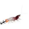 Generic Amo Da Calamaro Attrezzature Da Pesca Luminescente | Amo Artificiale Per Calamari A Forma Di Gambero Per Esterno Acqua Di Mare Fiume Lago Stagno Vacanze Notte