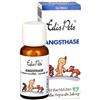 Edis Pets Bio Fiori di Bach per Cani Paura 20 g Globuli