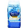 BONNETERRE ET COMPAGNIE PROBIOS Sale Gros.Atlantic 1Kg