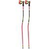 LEKI WCR GS Carbon 3D