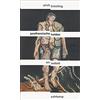 Brockling, U Postheroische Helden - (German Import) Book NUOVO