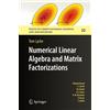 Tom Lyche Numerical Linear Algebra and Matrix Factorizations (Copertina rigida)