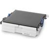 OKI 44472202 cinghia stampante 60000 pagine (OKI BELT UNIT C310/330/510/530)