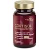 PRODECO PHARMA Prodeco Insyn Cortisol Ashwagandha+, 30 Compresse Retard | Ashwagandha KSM-66; Basilico santo Holixer; Rilascio prolungato; Vegano; Senza glutine