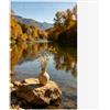 LYSHOOCE Fotopapier A4 Glänzend 240 g/m² 50 Blatt, Glänzend Druckerpapier | Hochglanz Fotokarton Beidseitig Bedruckbar für Tintenstrahldrucker, Ideal für Fotos, Flyer, Karten(21 x 29,7 cm)