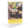UK Greetings Biglietto di compleanno per lui/lei/amico, regalo di compleanno, per lui, uomo, donna, divertente motivo panda, con busta, 12,1 x 18,4 cm