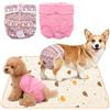 WALLFID Pannolini per Cani Femmina, 2 Mutandine Riutilizzabili per Calore con 1 Traversina Lavabile, Tappetino Cane per Incontinenza, Cuccioli, Senior, Divano Gabbia, M 40-50 cm