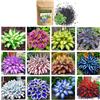 Govixed 250+ Hosta misto - Bassa Manutenzione e alto valore ornamentale Ottimo per l'ambiente Ombra - Paesaggistica - Altamente resistente con crescita rapida, Adatto per uso esterno, casa, giardino