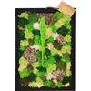 I GIARDINI DI GIULIA - Quadro da Parete Rettangolare con Muschio e Licheni Stabilizzato Vero EcoMosaico, Dimensione 35x50 cm, Cornice in Legno Naturale, Decorazione da Parete Verde per Soggiorno