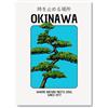 SALVADERO Poster - Bonsai & Kanji Giapponese (Okinawa, 50L x 40l cm)