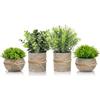Rlssaki 4 Pezzi Pianta Finta da Interno, Piccole Mini Piante Artificiali in Vaso, Piante Finte Che Sembrano Vere, Adatte per Decorazioni Casa, Camera da Letto, Bagno, Cucina, Salotto, Ufficio, Scrivania