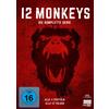 Fernsehjuwelen 12 Monkeys - Die komplette Serie (Alle 4 Staffeln) (Fernsehjuwelen) (14 DV (DVD)