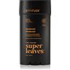Attitude Super Leaves Men Deodorant 75 g