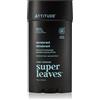 Attitude Super Leaves Men Deodorant 75 g