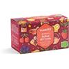 NEAVITA - Selezione INFUSI di FRUTTA 20 filtri in 5 varietà [Agrumi di Sicilia, Fragole e Ibisco, Frutti di Bosco, Mandarino e Zenzero, Mela e Cannella]