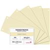 Netuno 100 Cartoncini Separatori Crema per Raccoglitori ad Anelli A4 | 160 g/m², 10,5 x 23,5 cm, divisori, strisce, forati, orizzontali, raccoglitore a leva, fatture, contratti, ufficio, scuola