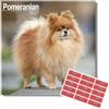Avonside Volpino di Pomerania 2027 Calendario con Adesivi Organizzativi, Calendario da Parete Quadrato 16 Mesi (set 2026 - dic 2027), Planner per gli Amanti dei Cani, 29,5 x 29,5 cm
