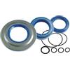 Generico KIT Serie Paraoli Motore e Anelli OR per V e s p a 125 T5 Pole Position - Codice C I F 6652 - Set Completo Frizione, Volano e Ruota Posteriore