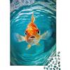 1M6T7B2K Puzzle da 1000 pezzi Arte del Pesce per Adulti in carta Allenamento mentale Puzzle Animale Decorazione da parete e Relax domestico 38x26cm/1000pcs