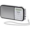 TechniSat TECHNIRADIO RDR - radio portatile DAB+/UKW (display LCD, memoria preferita, pulsanti di selezione diretta, jack per cuffie, USB, AUX-in, torcia LED, batteria intercambiabile, 1 Watt) argento