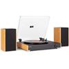 Audizio RP335 - Platino in vinile Bluetooth con altoparlanti 2 x 40 W, design elegante, versione in bambù, riproduzione USB, 3 velocità, funzione registratore, ideale per audiofili e collezionisti di