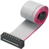 QUARKZMAN Cavo a Nastro Piatto Flessibile Passo 2,54mm L 30cm W 20mm 16 Pin | FC femmina - FD maschio, Grigio, Cavo a nastro piatto flessibile Connettore IDC, per Computer, display Led, Dvd, Stampante