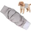 Generic Pannolini per cani di piccola taglia femmina lavabili a prova di perdite | Pannolini per cani femminili per cucciolo mestruale, gattino, gatto medio, cane grande