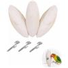 XALFST Osso di Seppia Naturale, 3 Pezzi da 11 Cm con 2 Clip Metallichi Anticaduta, osso di seppia per pappagalli, Nutrizione Instintiva Tartarughe e Pappagalli