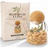 Gisa Wellness Diffusore Ambiente Respiro Di Ulivo con Foglie e Trucioli Utilizza con Oli Essenziali Purificazione Negatività e Relax Casa, Profumatore Per Ambienti Naturale e Sostenibile Idea Regalo Casa