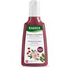 RAUSCH Shampoo colorprotettivo alla rosa selvatica 200ml capelli tinti | Deterge & preserva il colore, protegge dallo sbiadimento, vegano & senza siliconi, con equiseto, Svizzera