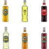 Il Tomolo Selezione Bevande Bio Siciliane 6 x 275 ml, Box Assortito con Limonata, Chinotto, Aranciata Rossa, Mandarino, Gassosa e Cola
