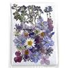 CENPEK Fiori secchi pressati Fiori secchi Naturali Fiori pressati Veri Fiori secchi Colorati per Gioielli in Resina Nail Art Fai da Te (Viola)