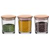 Glasset Eco Storage-Frisk, set di barattoli per spezie, 3 x 245 ml, ermetici con coperchio in legno, per spezie, cereali e chicchi di caffè, elegante organizzatore trasparente