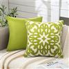 ETOLISHOP Set di 2 Cuscini per Divano Copricuscini Divano in Velluto Federe Cuscini Divano Moderni Verde Mandala Stampa Cuscini per Divani per Soggiorno Camera da Letto panca Auto Decorazione