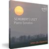 VIDOL Piano Sonatas