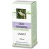 FARMADERBE SRL Farmaderbe Cajeput Olio Essenziale 10 ml Integratore alimentare