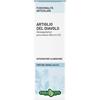 Erba Vita Artiglio Del Diavolo Tintura Idroalcolica Funzionalità Articolare 50 Ml