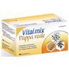 VITALMIX Montefarmaco Otc Vitalmix Pappa Reale 10flaconcini X10 Ml S/gl