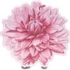 L'ERBOLARIO SFUMATURE D FIORE PROFUMATO1PZ
