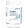Metagenics Belgium Bvba Candex 90 Capsule